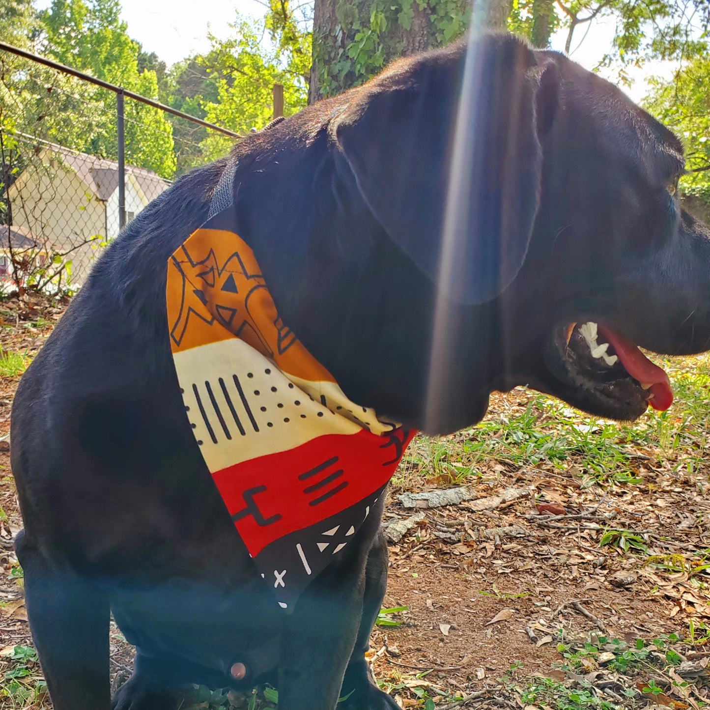 Ancestors' Wildest Dreams Dog Bandana - Adinkra Design