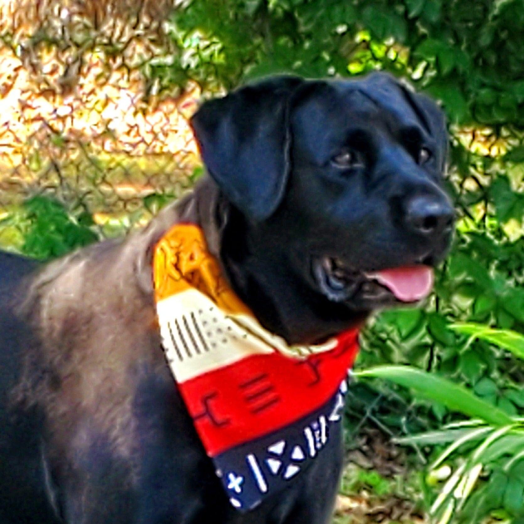 Ancestors' Wildest Dreams Bandana