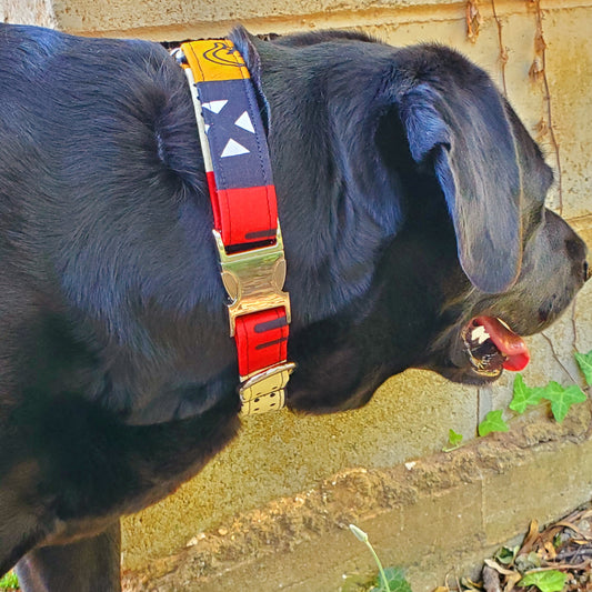 Ancestors' Wildest Dreams Dog Collar
