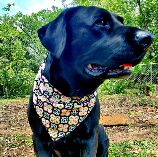 Whitley G. Dog Bandana