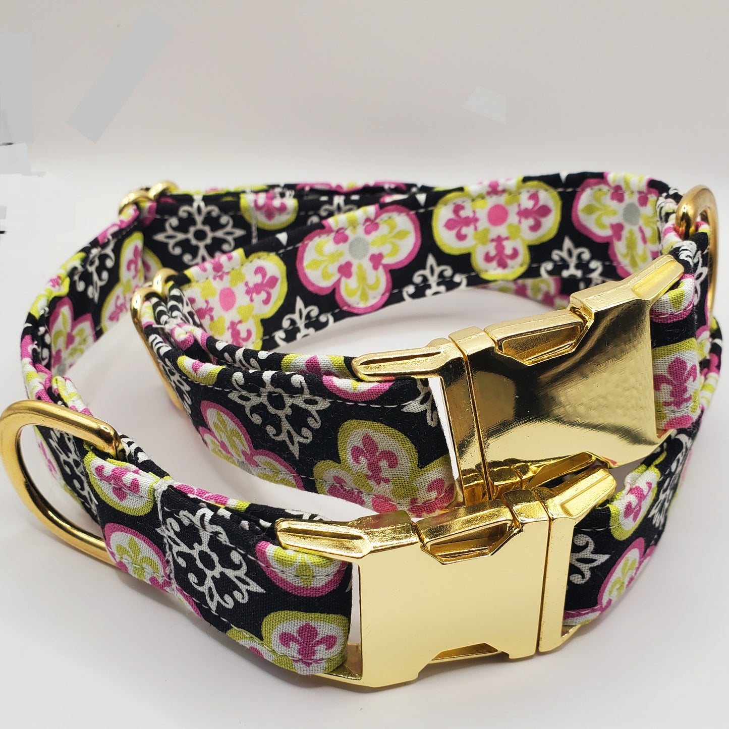 Whitley G. Dog Collar