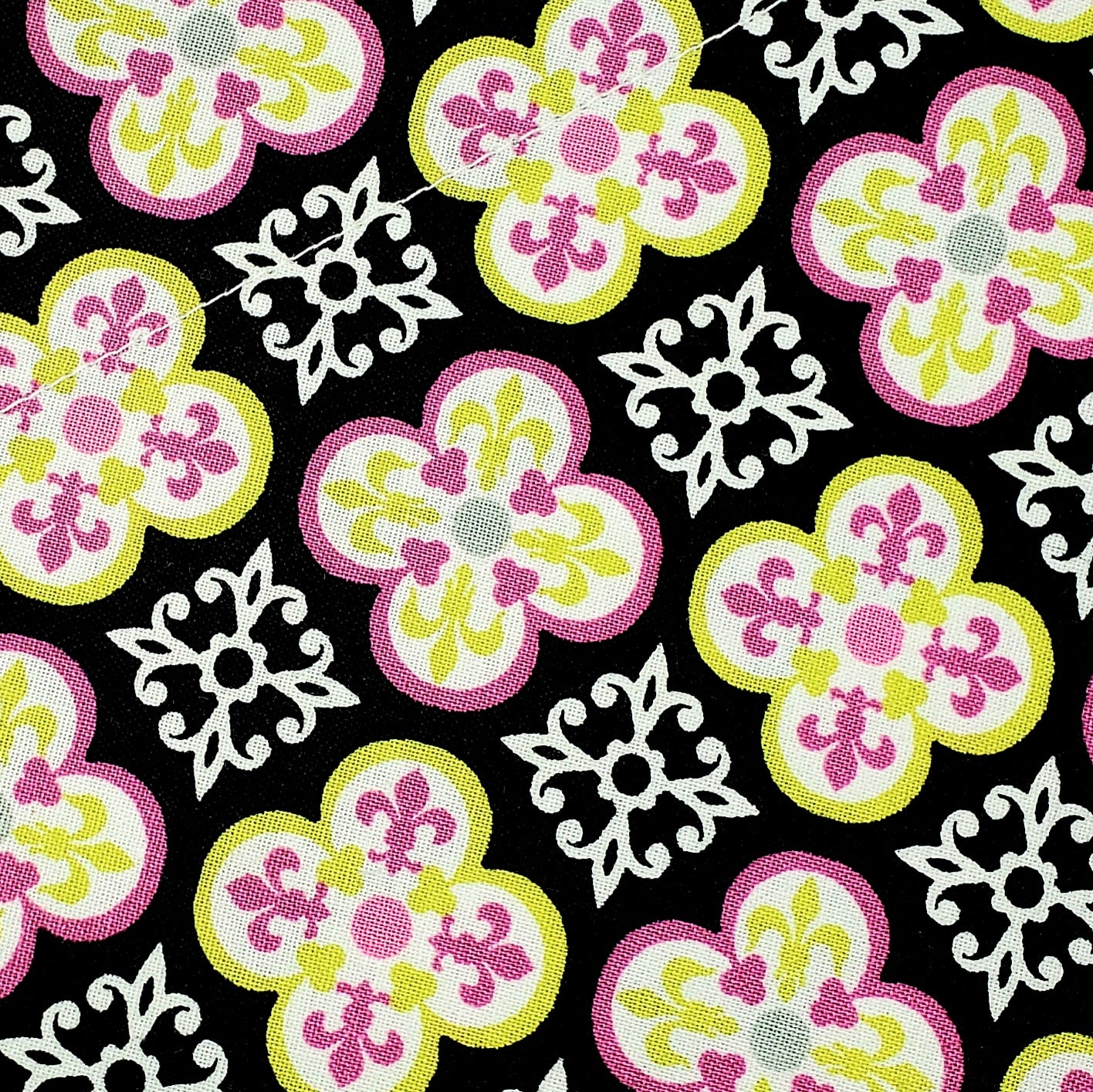 Whitley G. Dog Collar