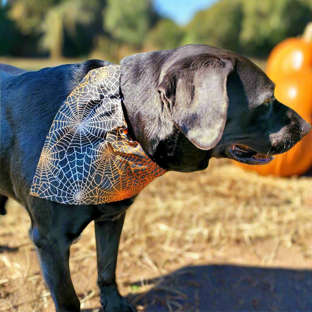 Halloween, Candy Corn, and Silver Swirl Bandana - DOUBLE SIDED!