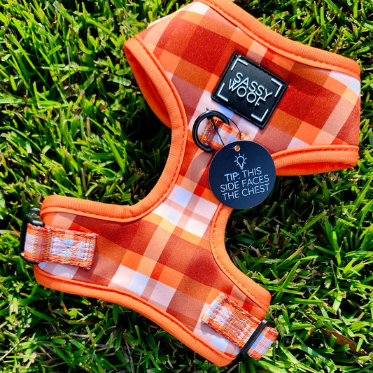 Spiced Harvest Adjustable Dog Harness