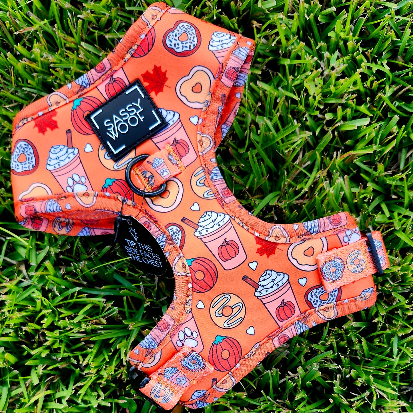 PUPkin Spice and Donuts Dog Harness