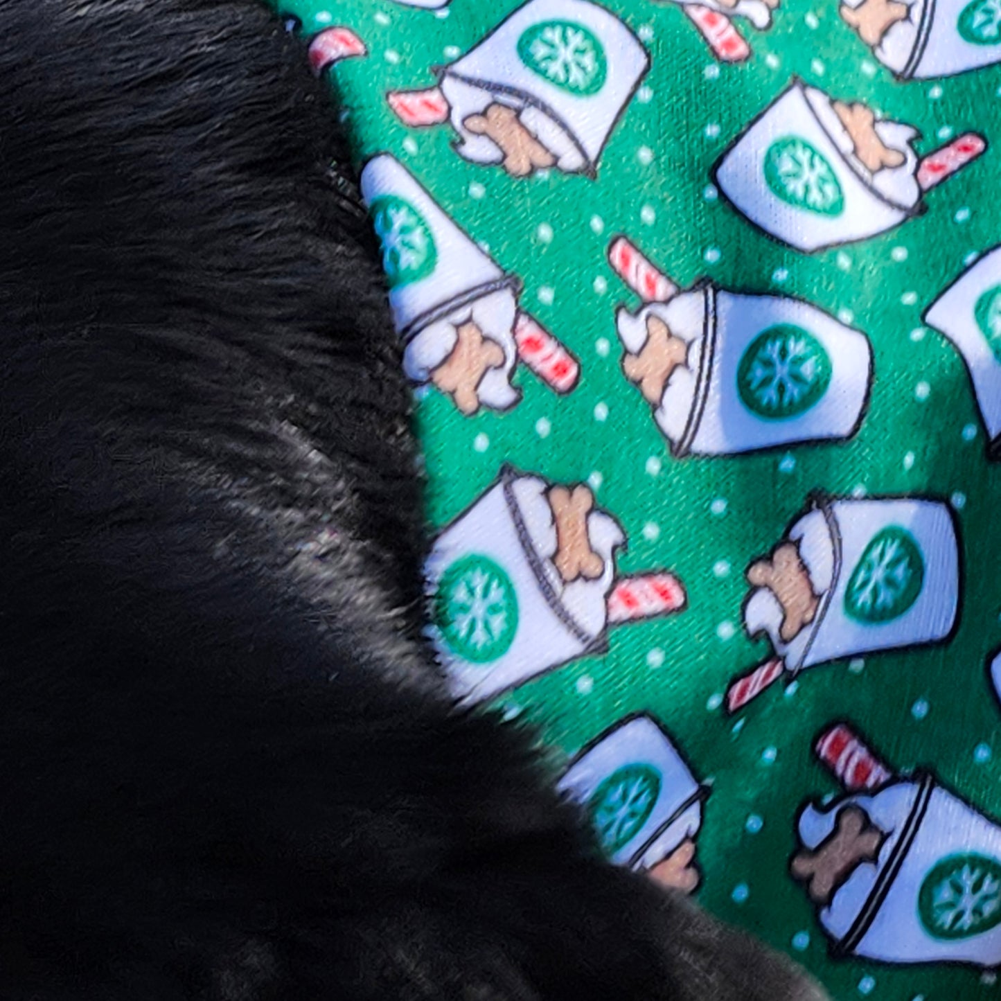 Holiday Coffee/ Latte Dog Bandana Green