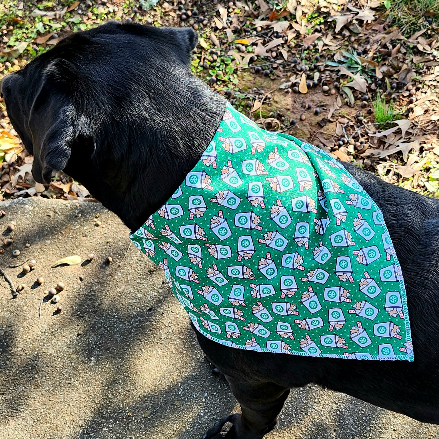 Holiday Coffee/ Latte Dog Bandana Green