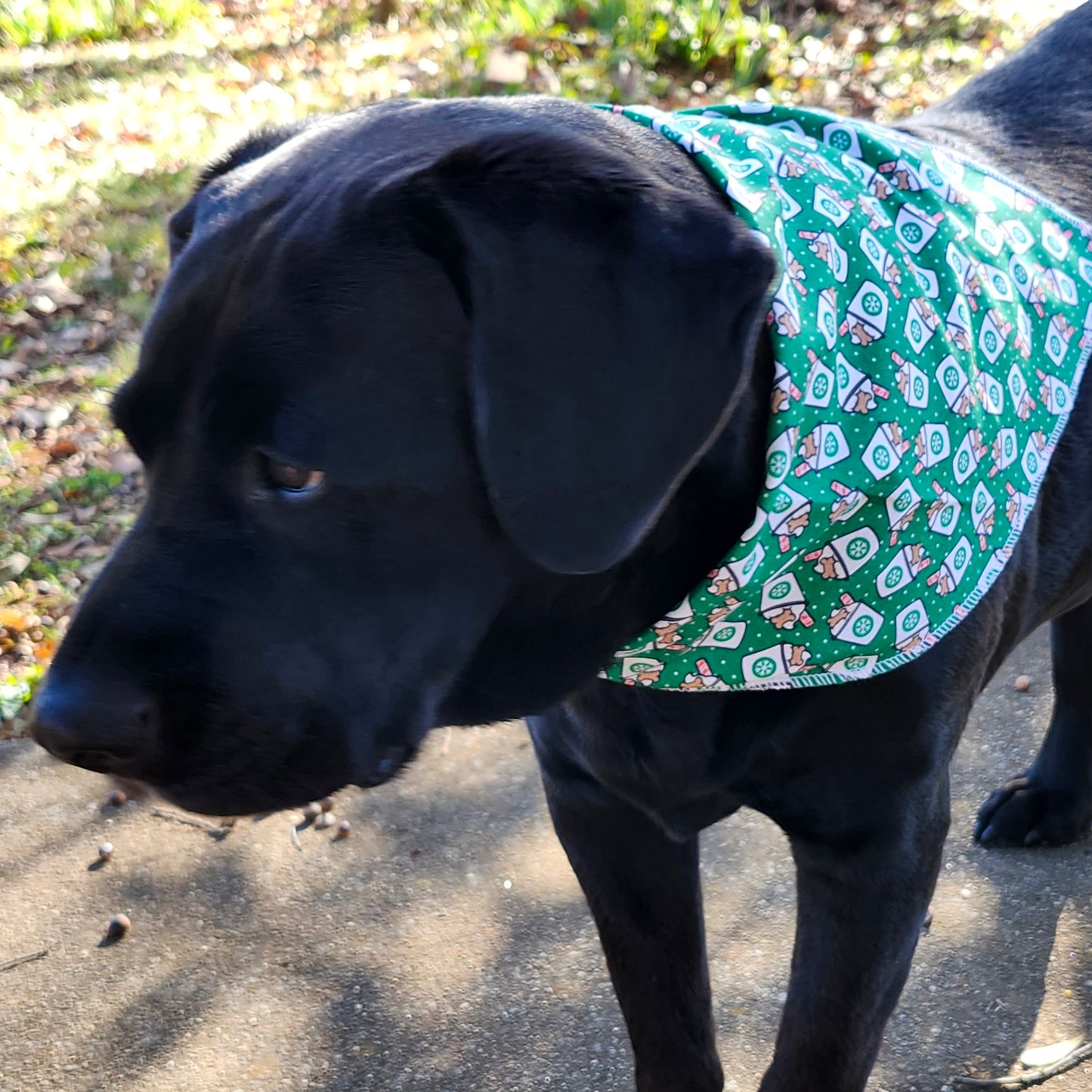 Holiday Coffee/ Latte Dog Bandana Green