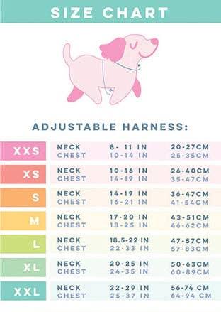 PUPkin Spice and Donuts Dog Harness