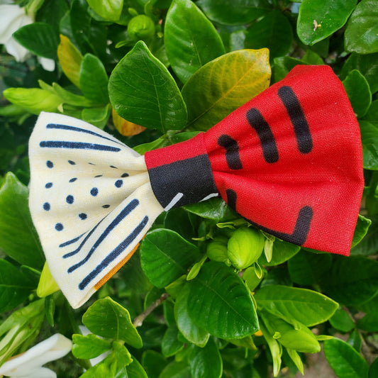 Ancestors' Wildest Dreams Dog Bowtie