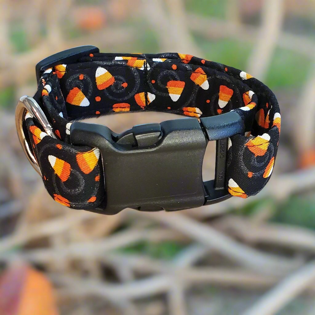 Halloween, Candy Corn, and Silver Swirl Collar
