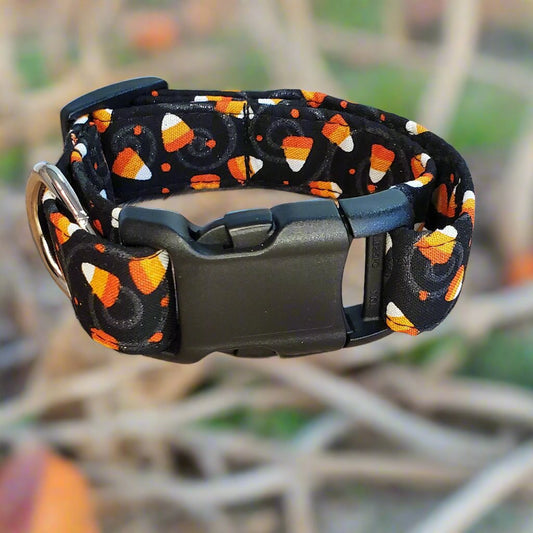 Halloween, Candy Corn, and Silver Swirl Collar