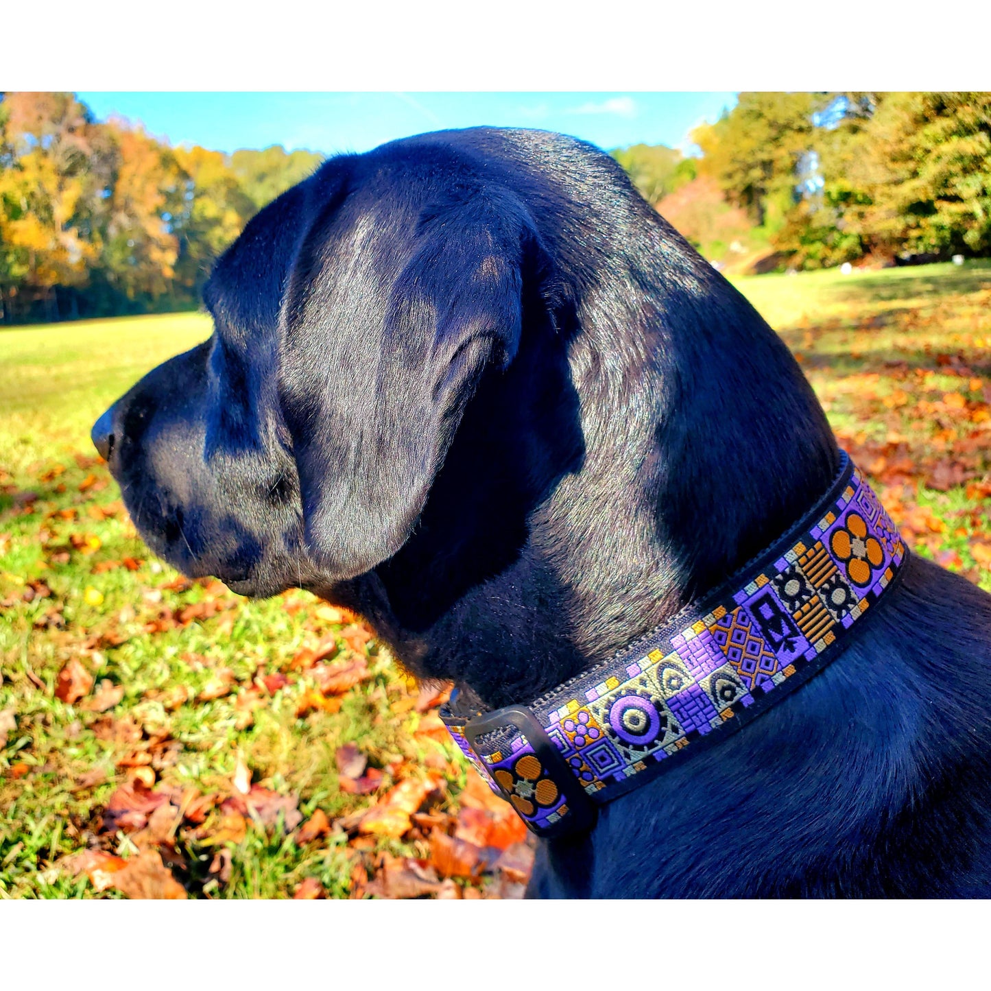 Purple Jacquard, African-Inspired Vanity Necklace