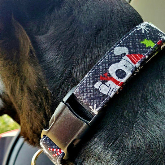 Paws and Peppermint Dog Collar