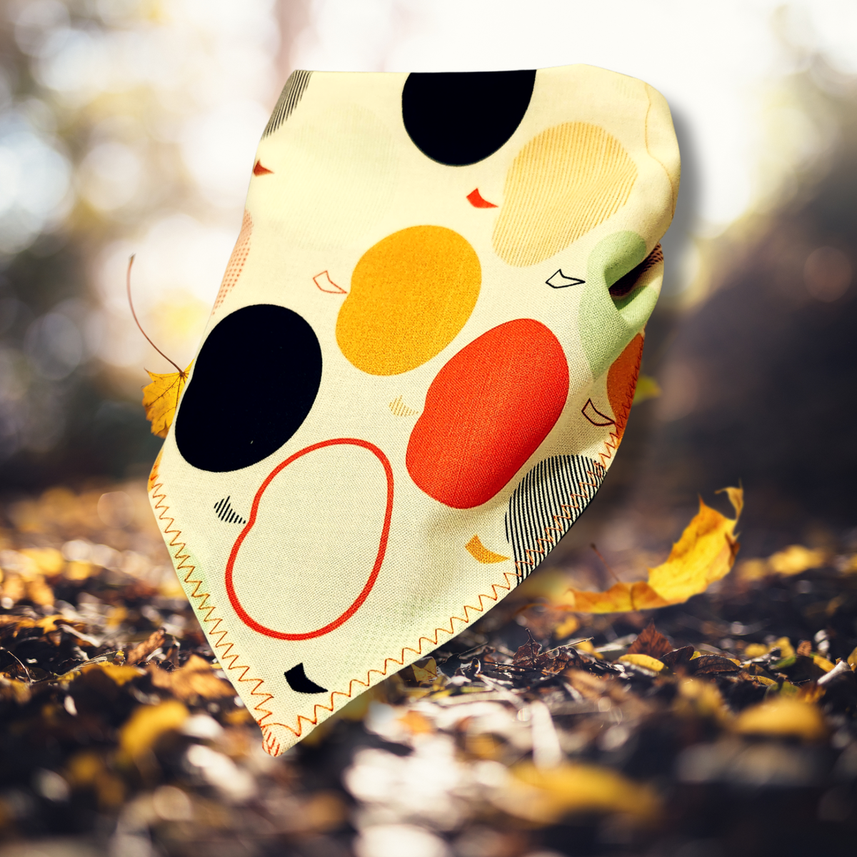Pumpkin Patch Bandana