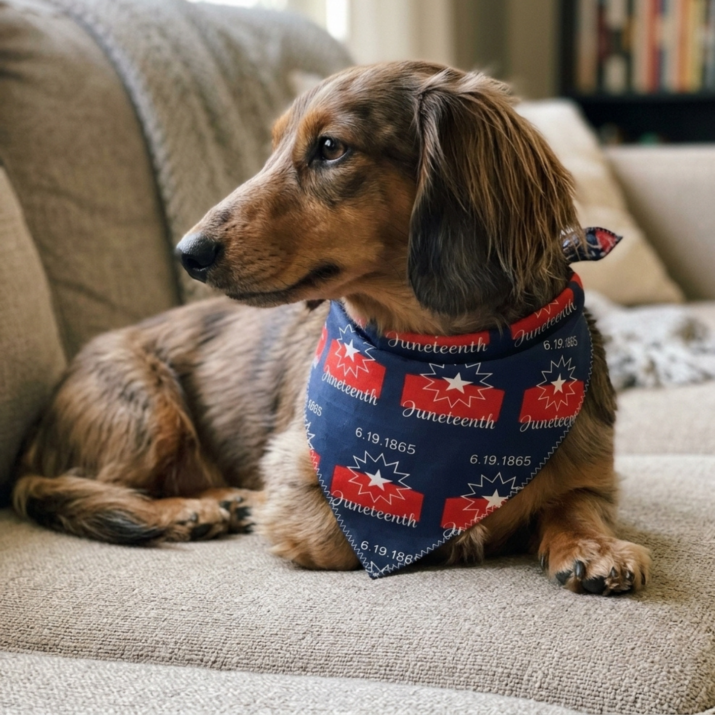 Juneteenth Bandana