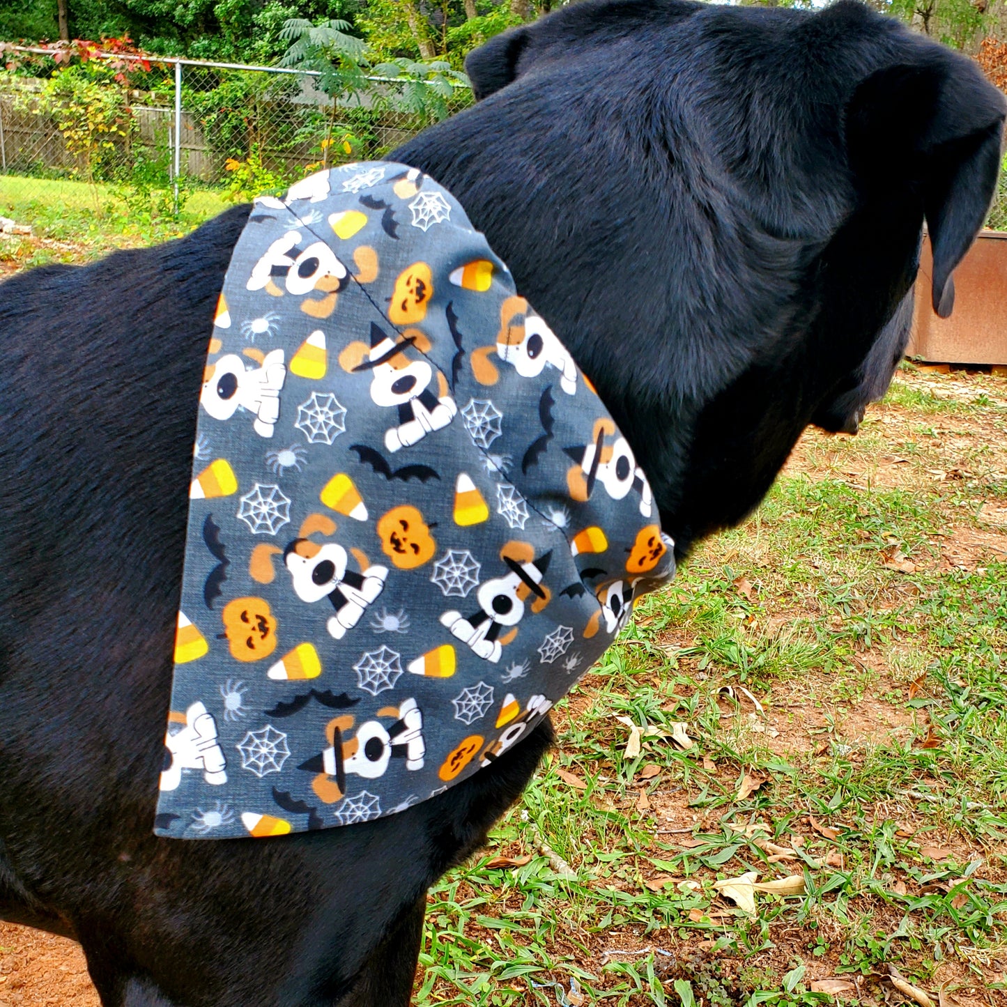 Halloween Bandana - Puppies, pumpkins, and spiders, OH MY!