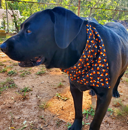 Halloween, Candy Corn, and Silver Swirl Bandana - Double Sided! LIMITED INVENTORY!