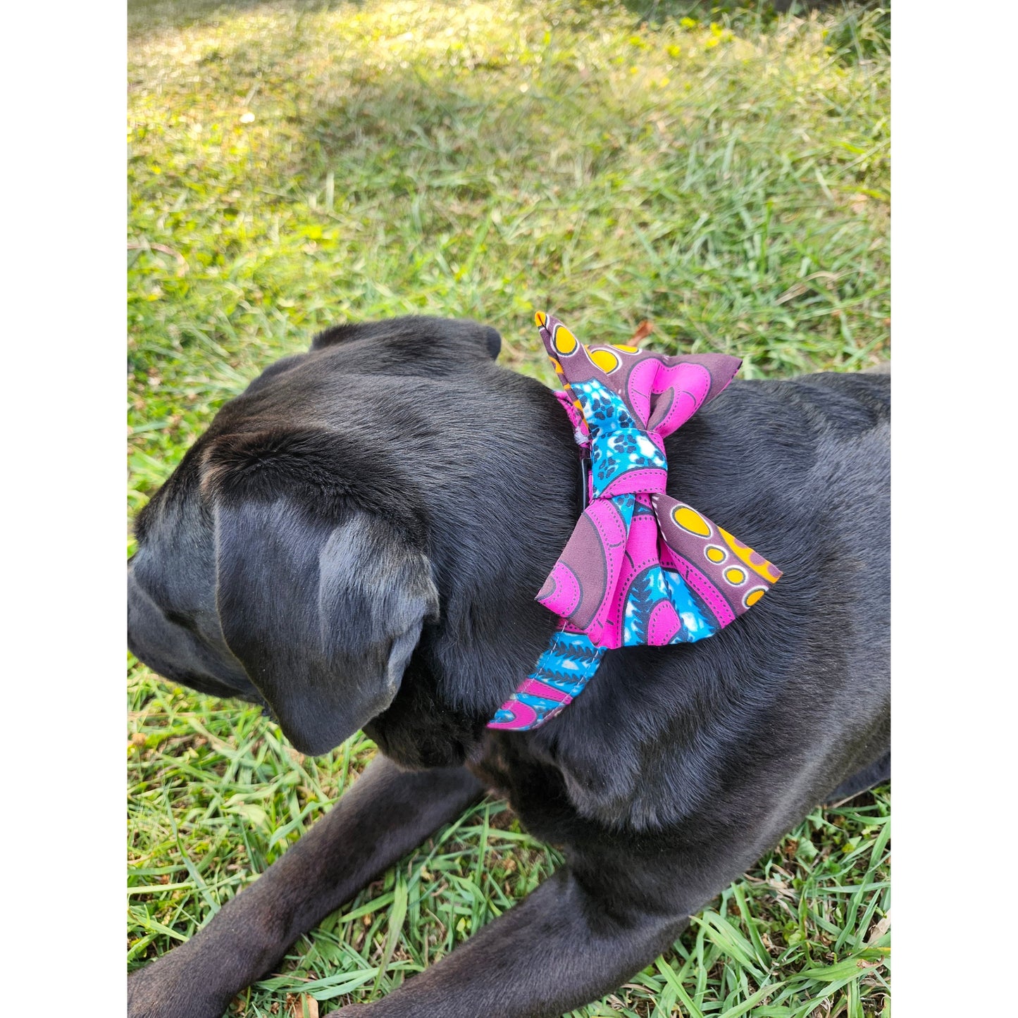 Pink Pup Royalty Collar and Bowtie Set