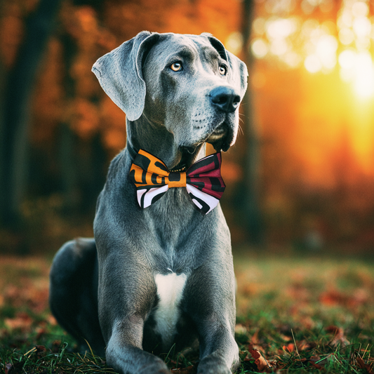 Ancestors Speak Dog Bowtie - Butterscotch/Wine