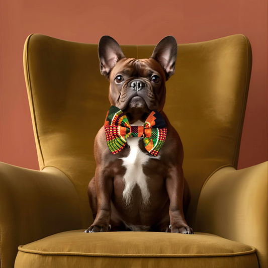 Black History 365 Kente Bowtie