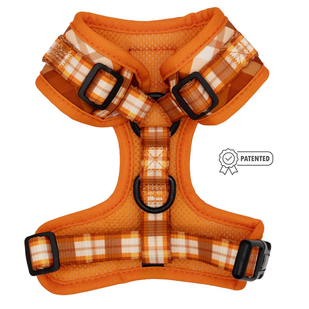 Spiced Harvest Adjustable Dog Harness