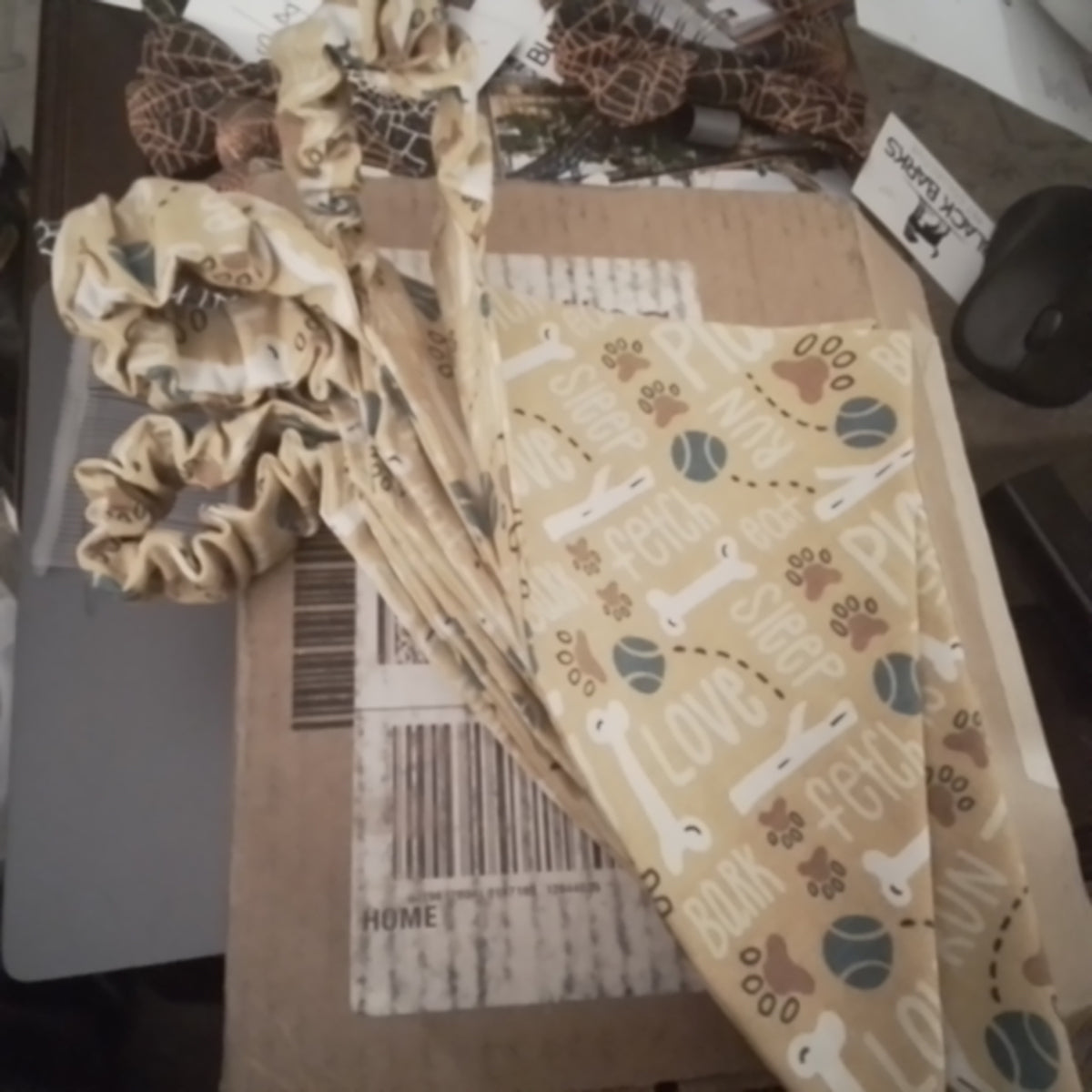 Fall Fun Bandana (Copy)