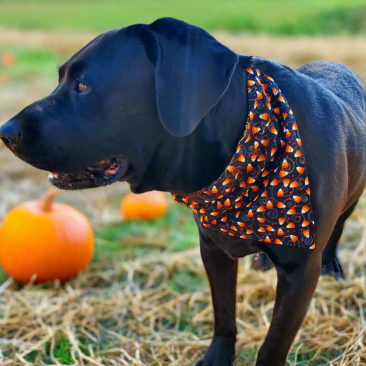 Halloween, Candy Corn, and Silver Swirl Bandana - DOUBLE SIDED!