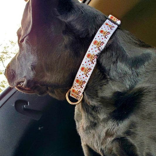 Christmas Dog Collar, 1" Width, Reindeer Games/White,