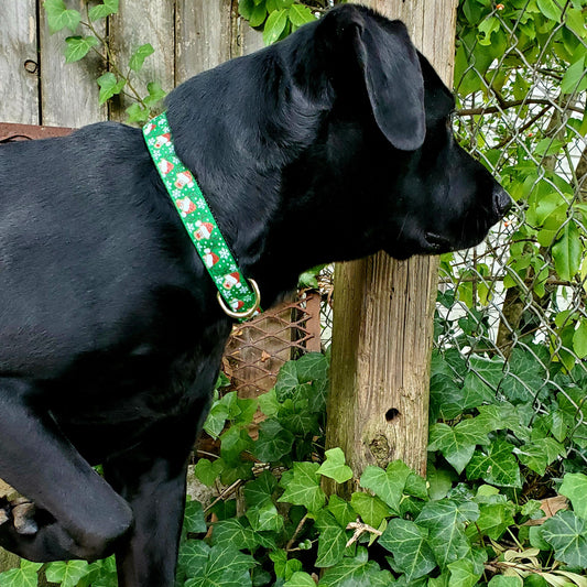 Christmas Dog Collar, 1" Width, Reindeer Games/Green