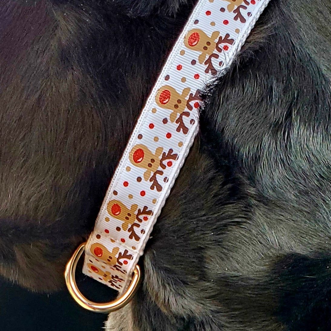 Christmas Dog Collar, 1" Width, Reindeer Games/White,
